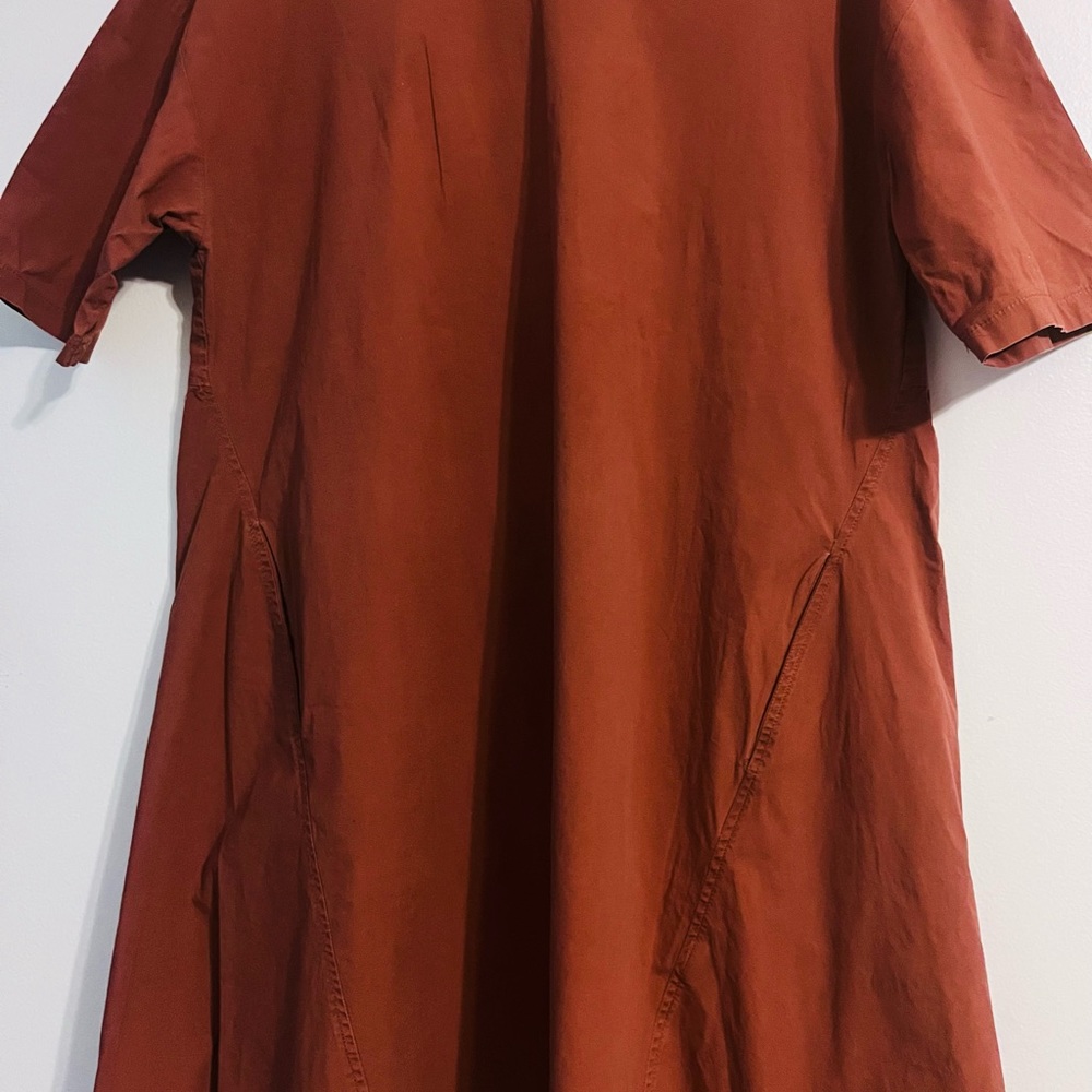 Zara Dress Rust Color Size L